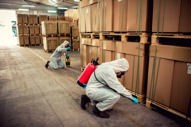 Best Pest Removal Services  in Grain Valley, MO