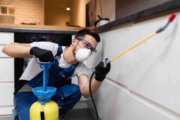 Best Pest Control Near Me  in Grain Valley, MO