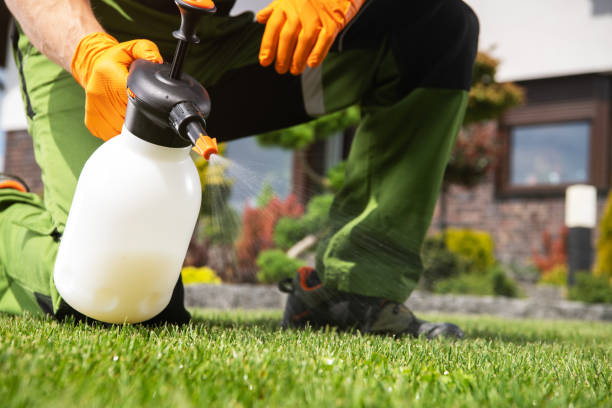 Best Wildlife Control Services  in Grain Valley, MO