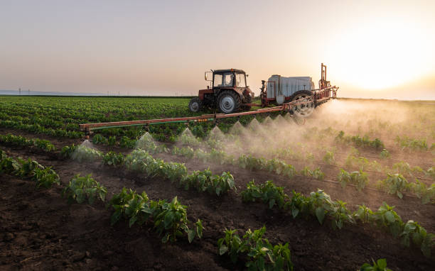Best Best Pest Control Companies  in Grain Valley, MO