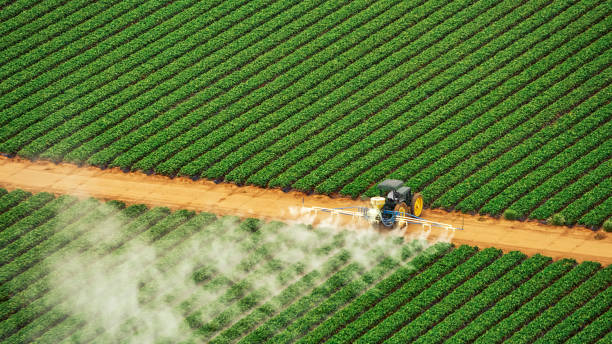 Best Pest Control Treatment  in Grain Valley, MO