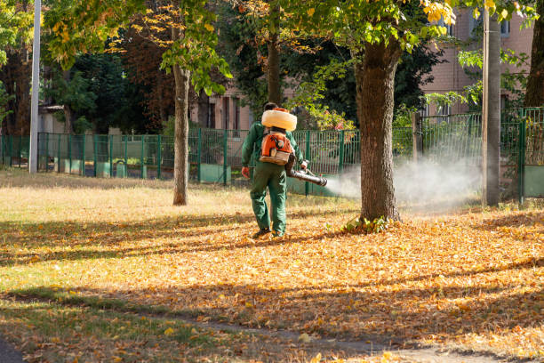 Best Flea Control Services  in Grain Valley, MO