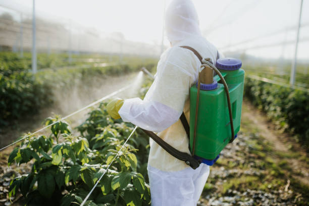Professional Pest Control in Grain Valley, MO